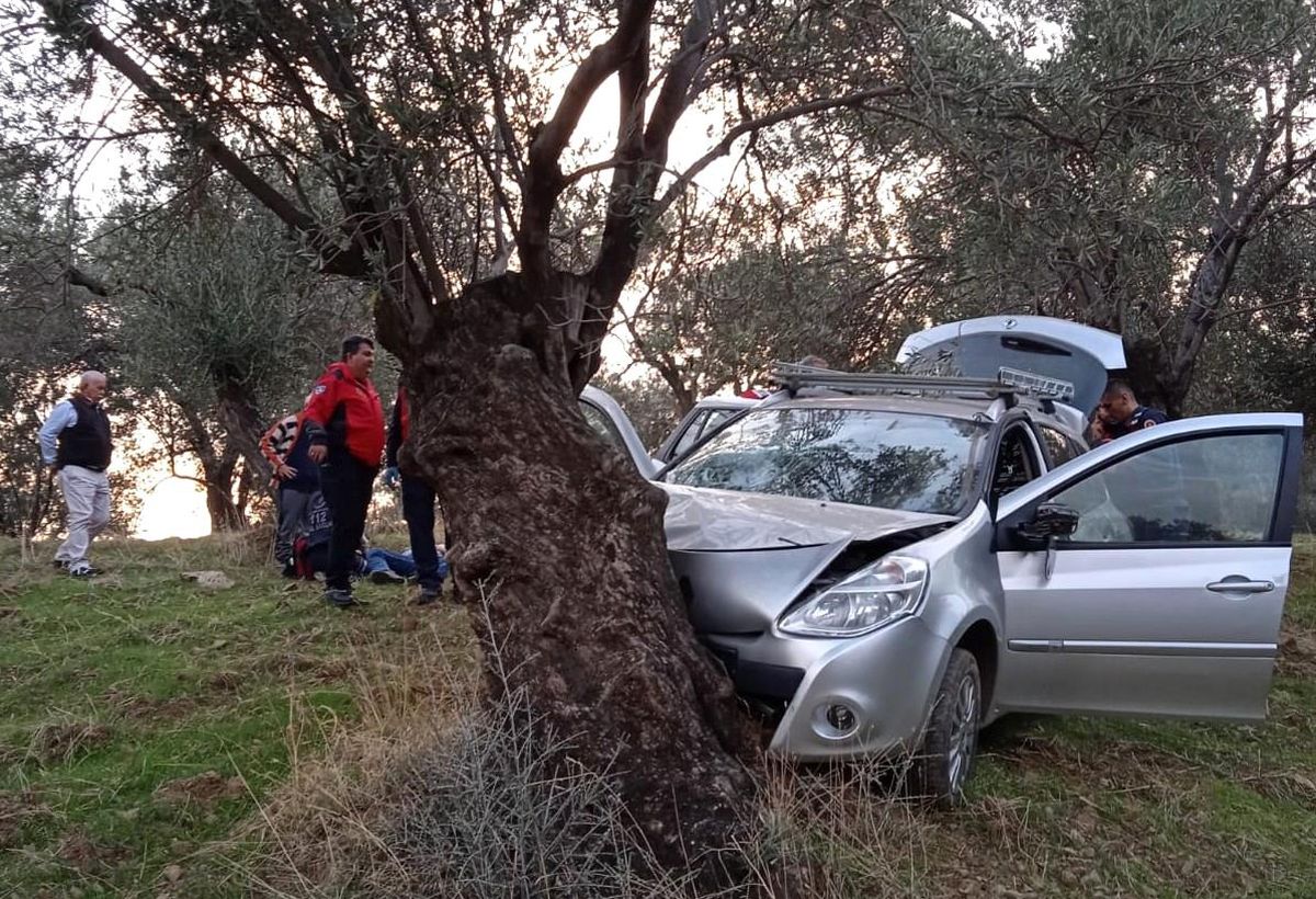 Zeytin ağacına çarparak durdu