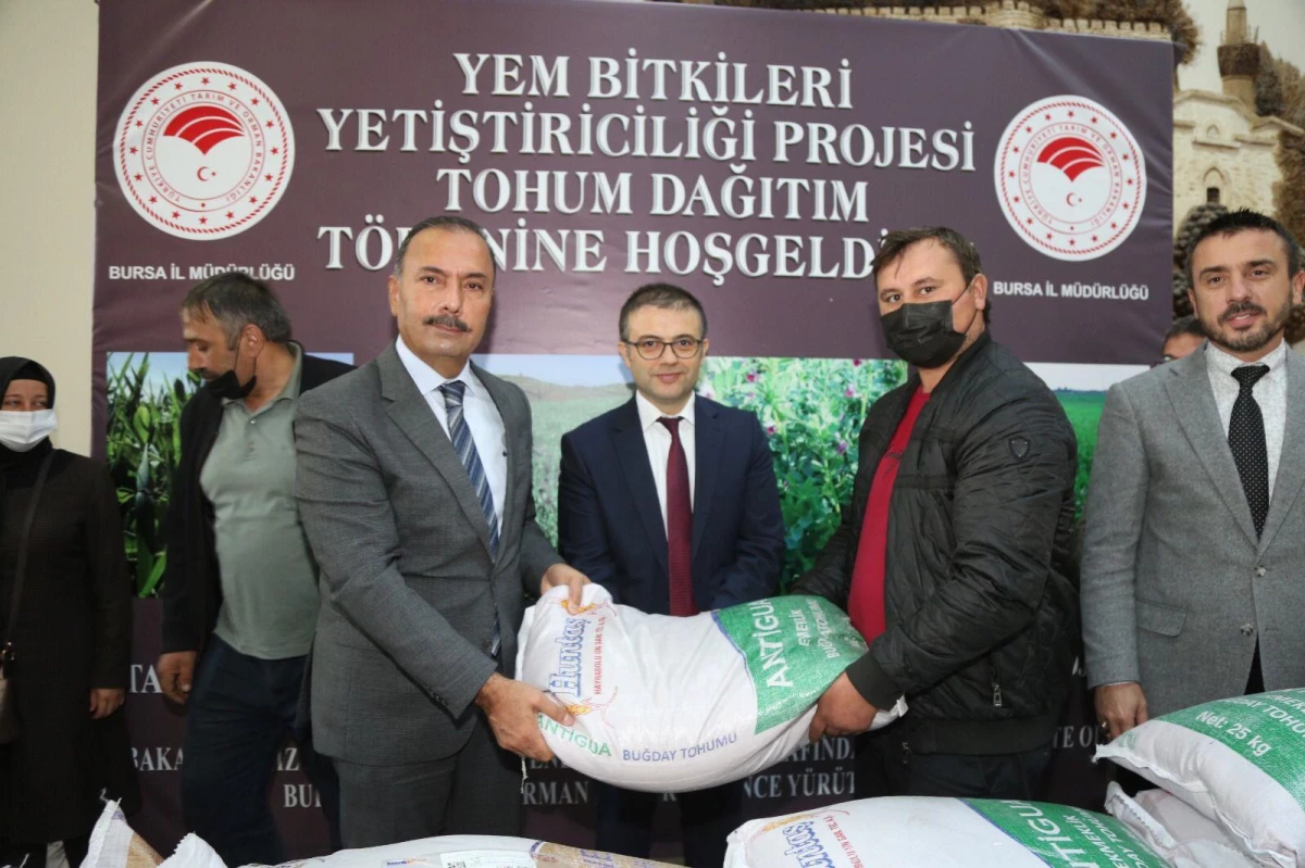 Bursa\'da üreticilere yem bitkisi tohumu dağıtıldı