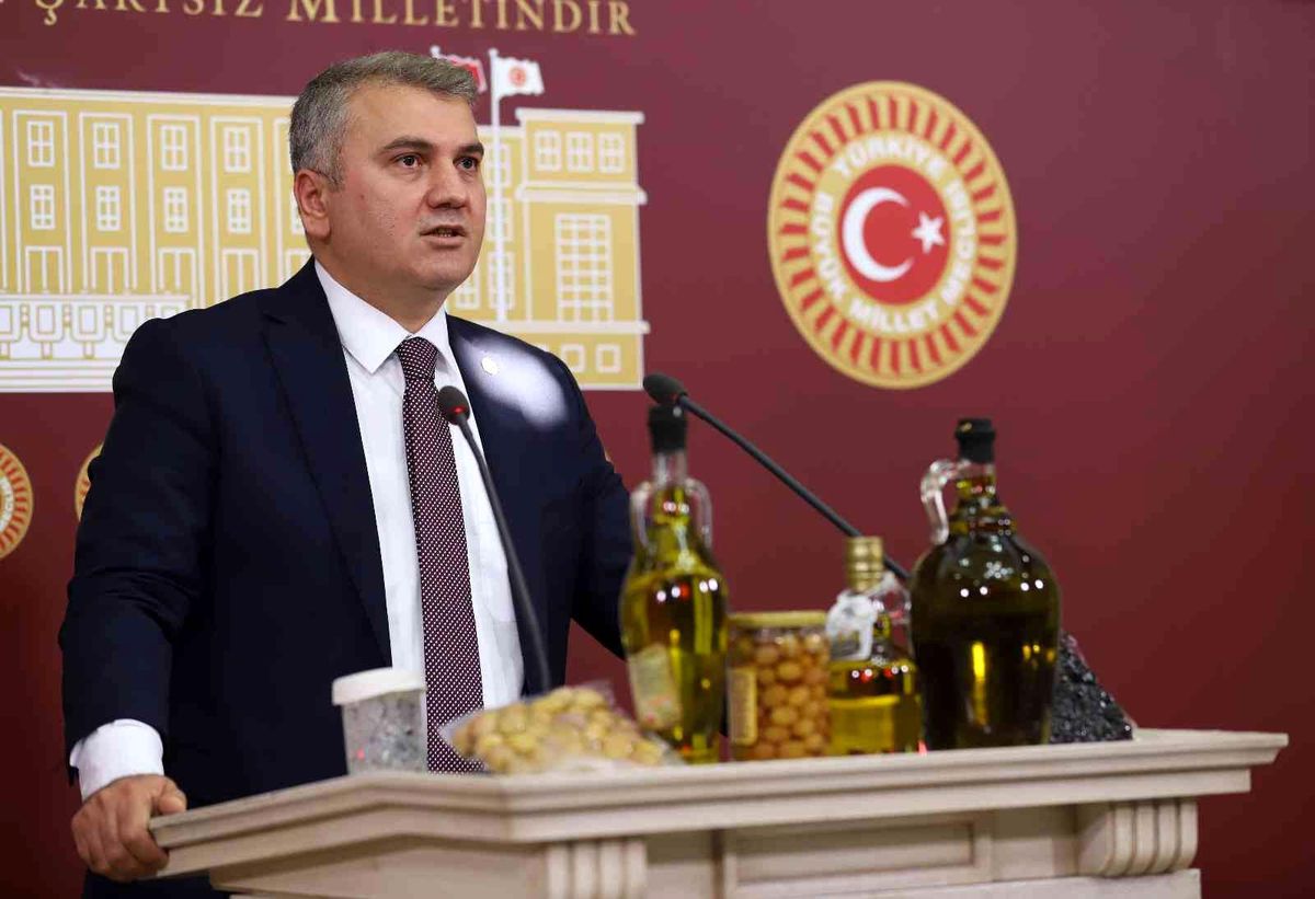 Canbey, TBMM\'de Balıkesir Zeytinyağını Anlattı