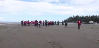 Deniz memelilerini kurtarma tatbikatı düzenlendi