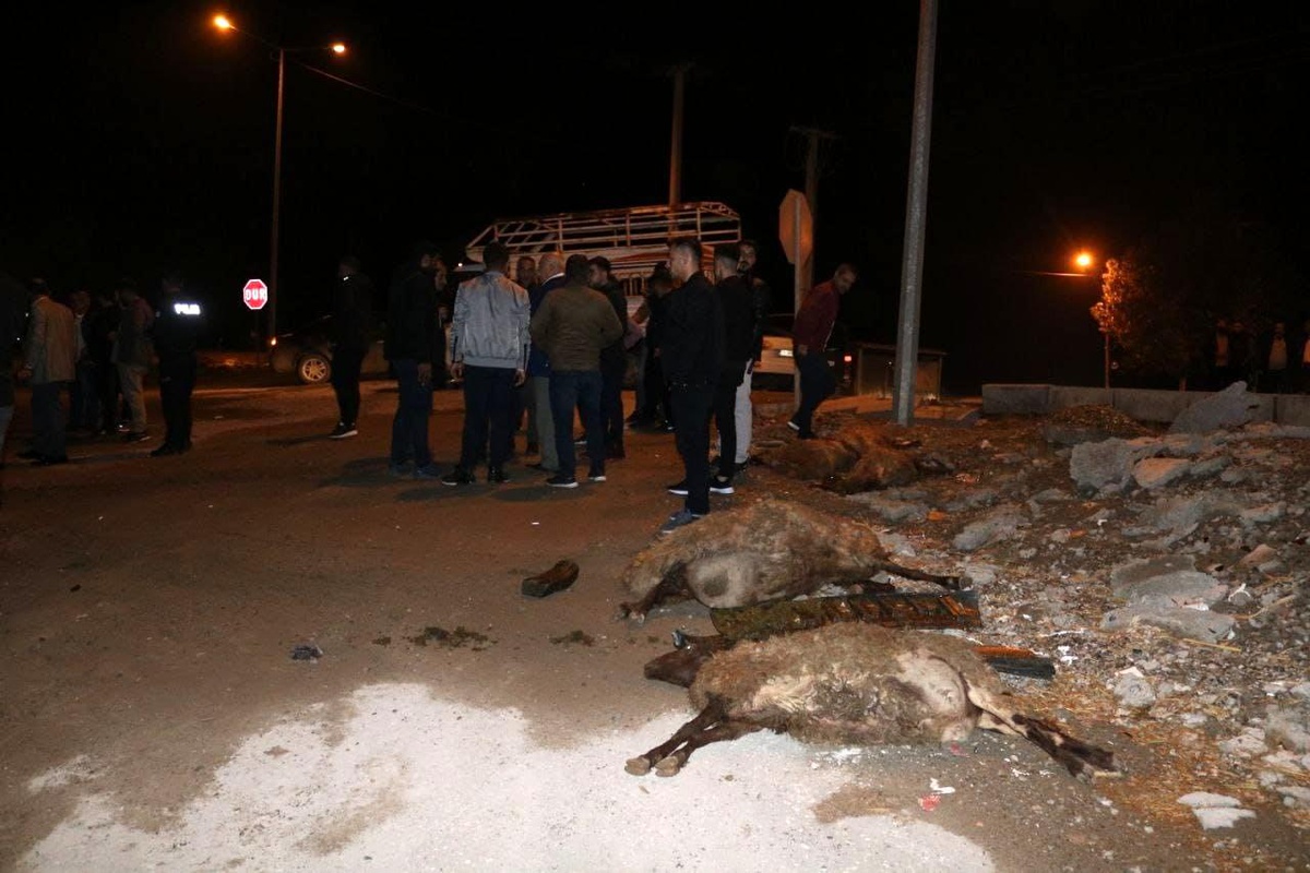 Diyarbakır\'da otomobil sürüye çarptı: 4 koyun telef oldu