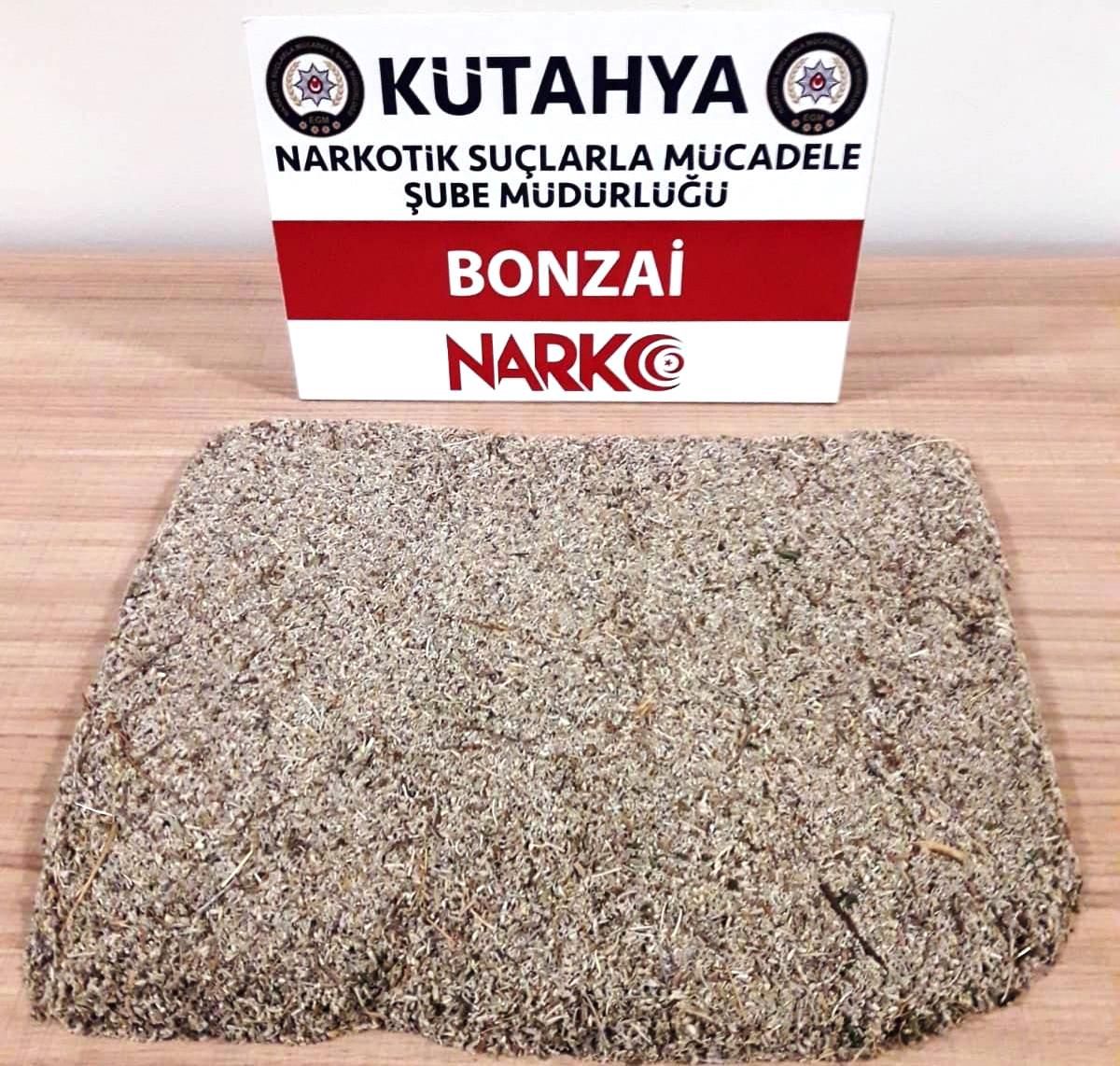 Kütahya\'da bir evde bonzai madde ele geçirildi