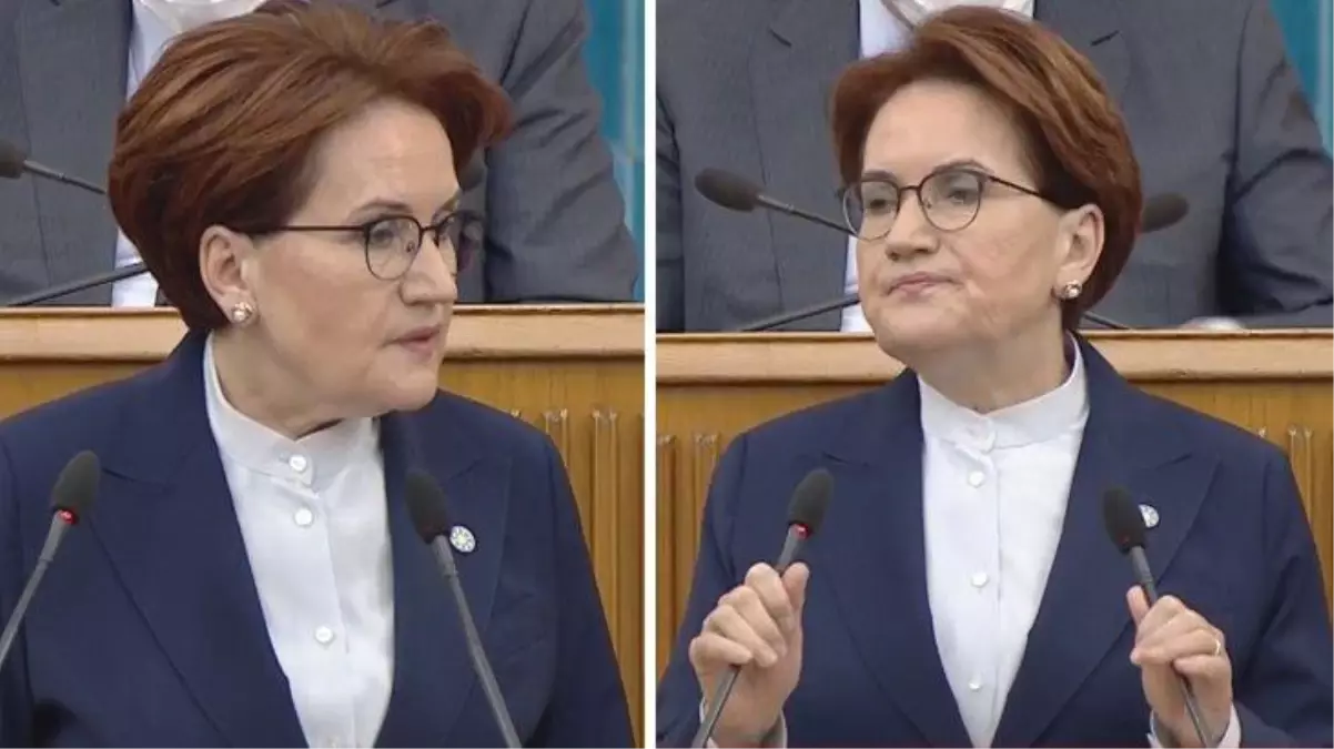 Meral Akşener "Sayın Öcalan" dedi! Ardından hemen özür diledi