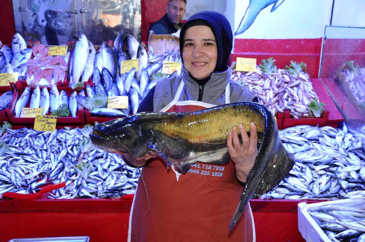 Balık pazarında tezgahlar doldu taştı