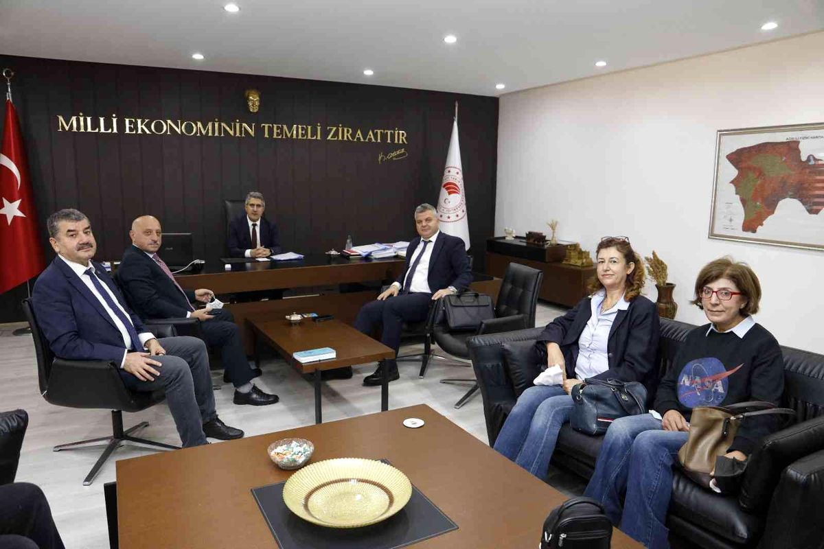 Bölge Müdürü Yavuz; Ağrı\'da çalışmaları devam eden projelerde incelemede bulundu