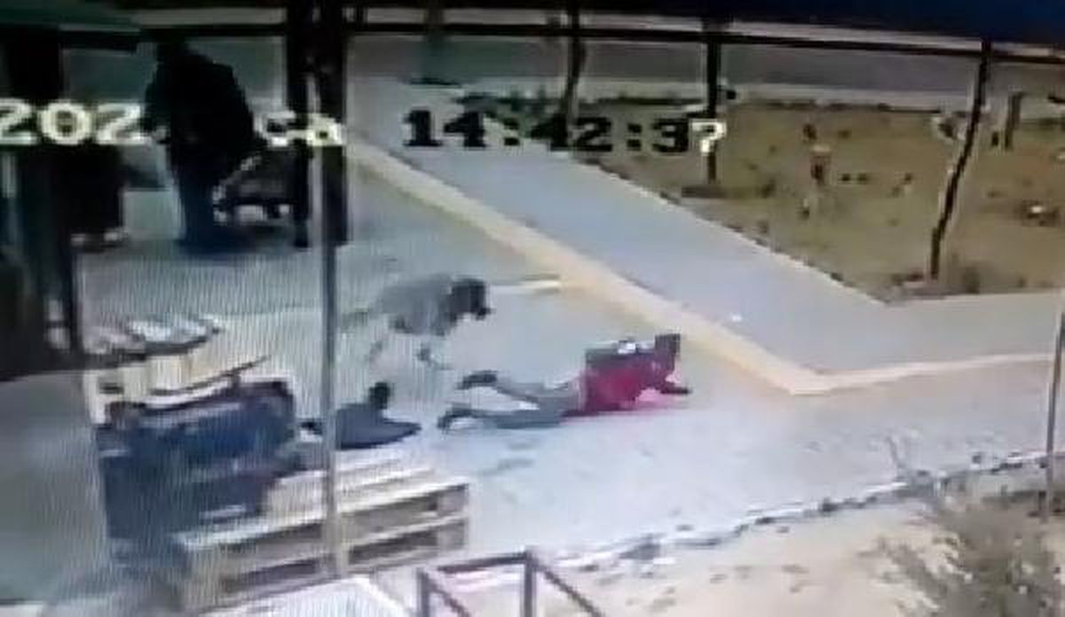 Köpekten kaçan çocuğun düşme anı kamerada