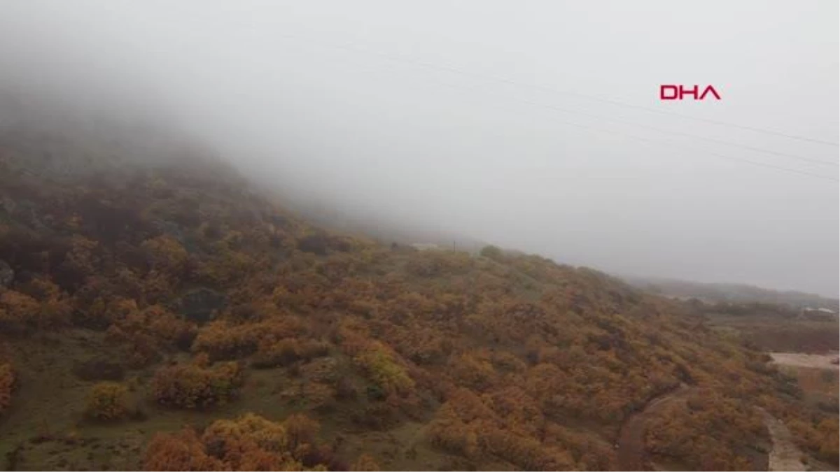 TOKAT\'TA SİS, SONBAHAR RENKLERİYLE BULUŞTU