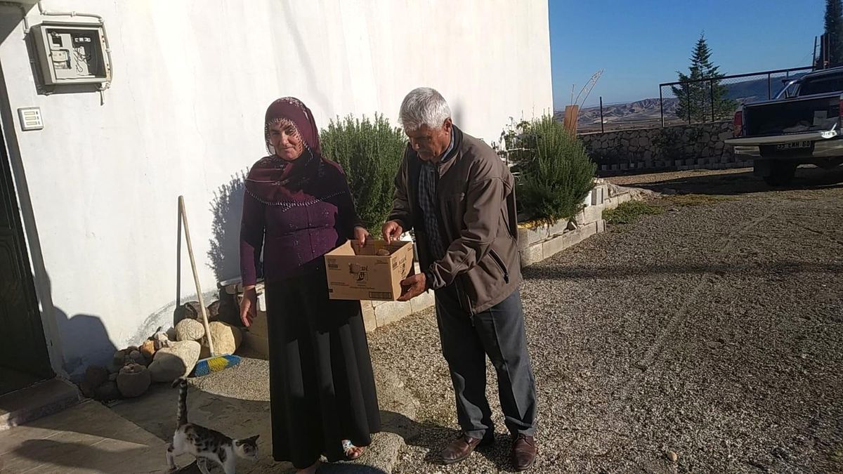 Yaralı kerkenez tedaviye alındı