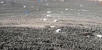 Bataklıkta mahsur kalan yavru köpeği kurtardı