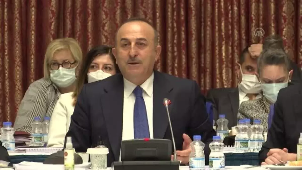 Çavuşoğlu: "Ürettiğimiz ürünleri istediğimiz ülkelere satarız"