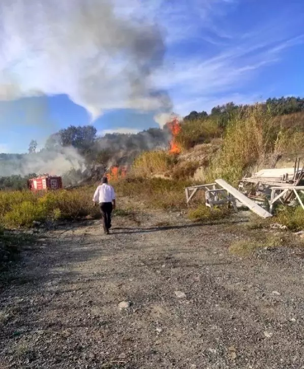Son dakika haberi | Hatay'da sazlık yangını