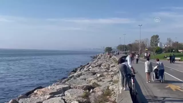 İstanbul'da pastırma yazı nda deniz keyfi