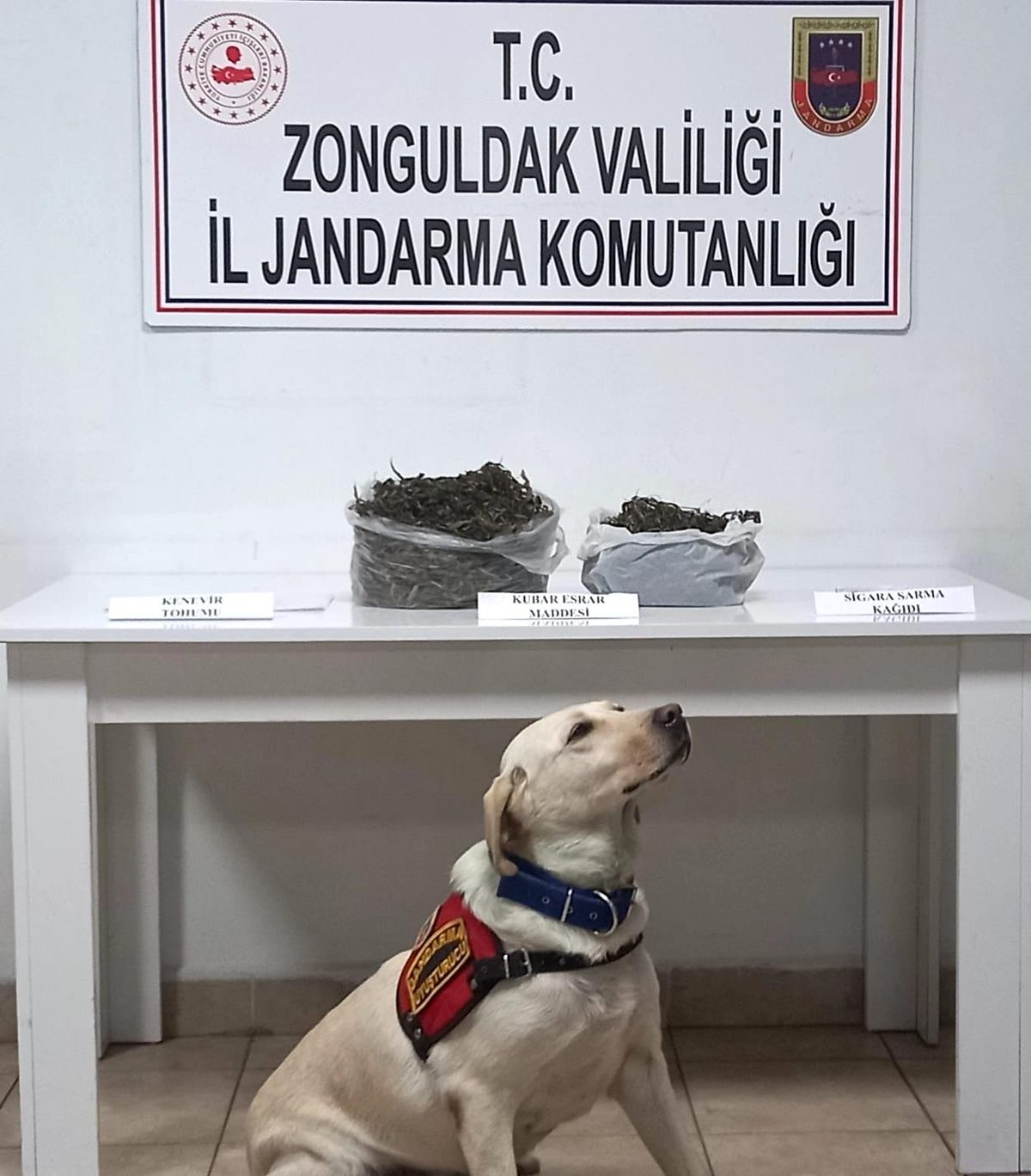 Jandarma göz açtırmadı, uyuşturucu tacirleri yakalandı