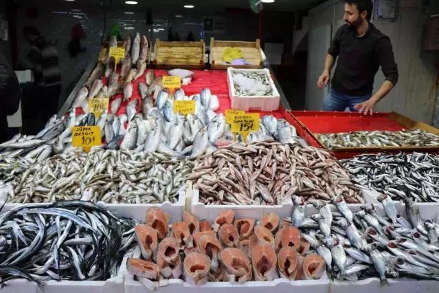 Karadeniz'deki hamsi bolluğu yüzleri güldürdü