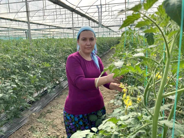 Ödüllü kadın çiftçi, eşine böbreğini verdi