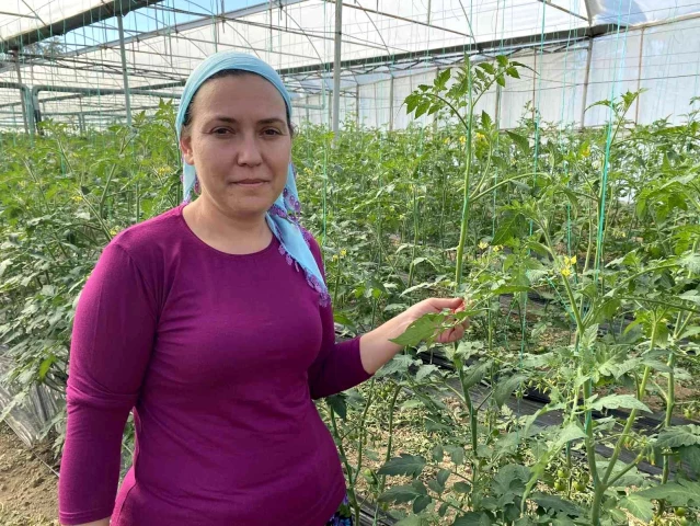 Ödüllü kadın çiftçi, eşine böbreğini verdi