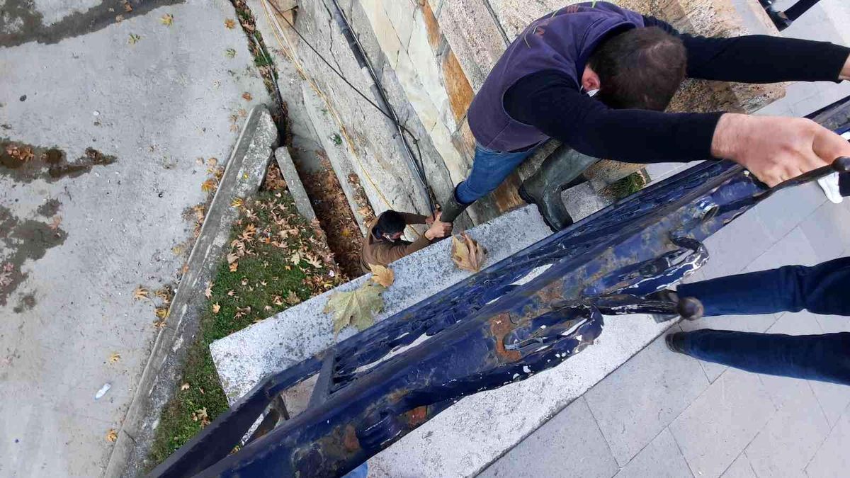 Güvercini kedilerden kurtarmak isterken derede mahsur kaldı