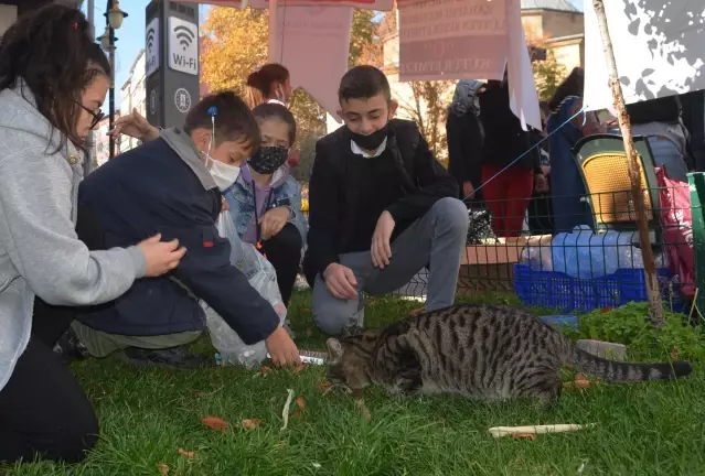 1 ton kedi ve köpek maması dağıtıldı