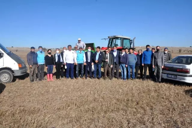 Kütahya'da Ketencik tohumu ekimi başladı