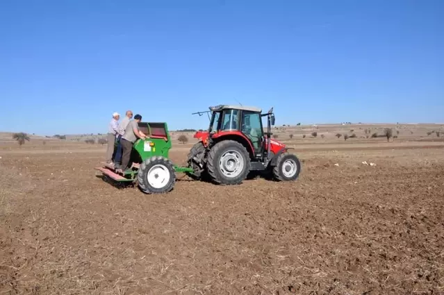 Kütahya'da Ketencik tohumu ekimi başladı