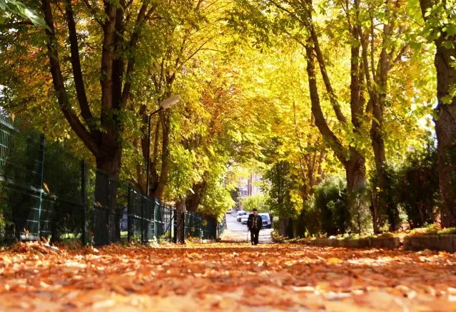 Parklar sonbahar renklerine büründü