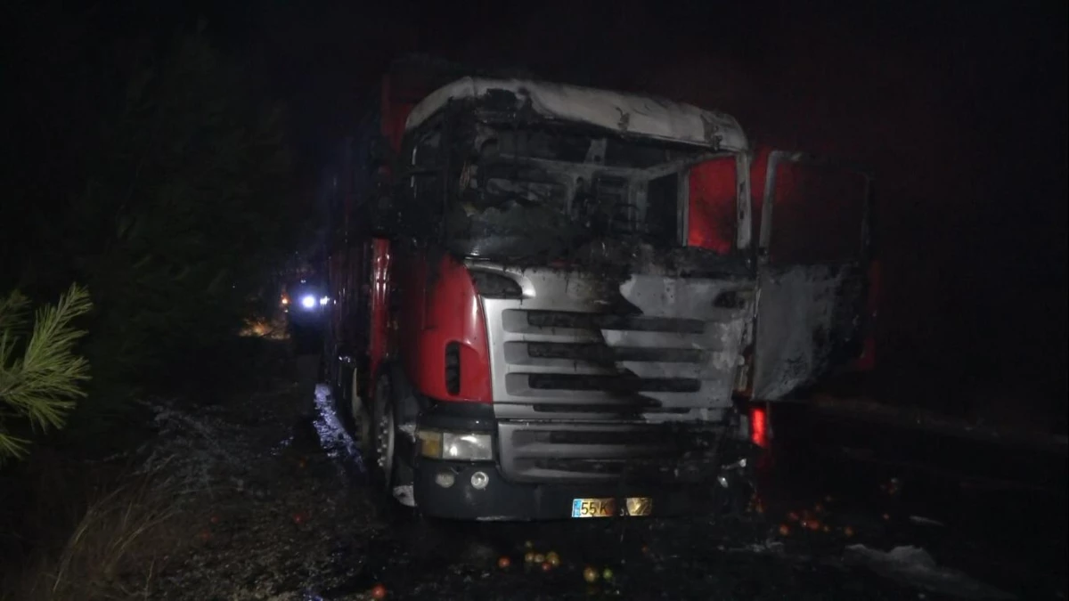Mersin\'de domates yüklü kamyonda çıkan yangın söndürüldü