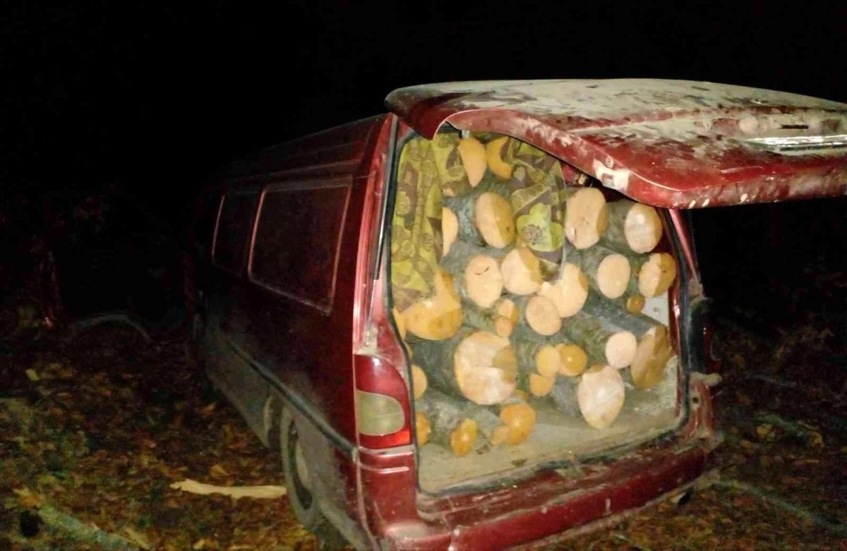 Minibüste 2 ton kaçak odun ele geçirildi