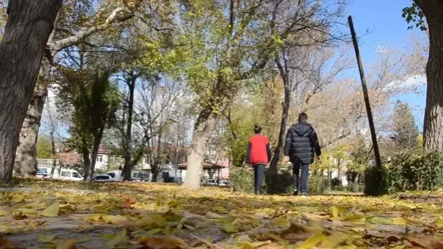 Parklar sonbahar renklerine büründü