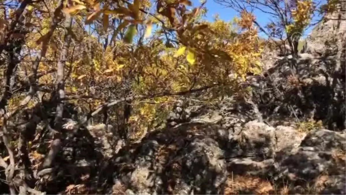 PKK\'lı teröristlere ait yaşam malzemeleri ele geçirildi