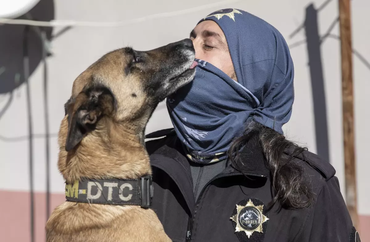 Polislerin can yoldaşı "hassas burunlar" suçluların "korkulu rüyası" oldu