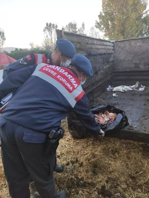 Büyük skandal patlak verdi! Piyasaya sürdükleri onlarca kilo at etini bize yedirmişler