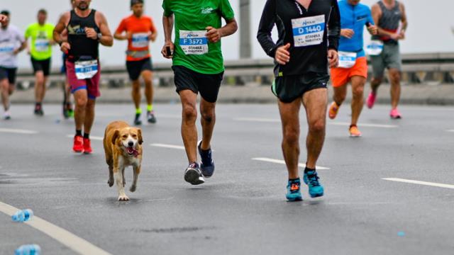 Boğaz'da şölen! İstanbul Maratonu'nda çok renkli görüntüler ortaya çıktı