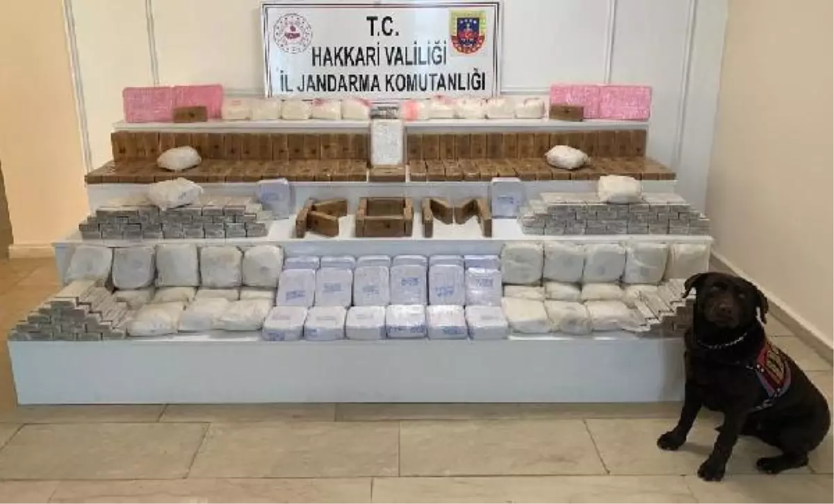 Hakkari\'de 171 kilo uyuşturucu ele geçirildi