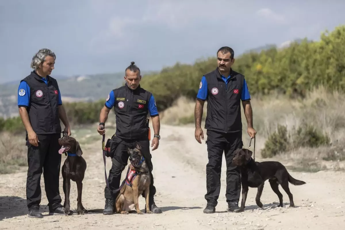 Mersin itfaiyesinin çalışmalarına sertifikalı K9 köpekleri destek veriyor