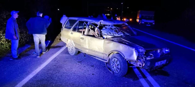 Otomobil yol kenarındaki ineklere çarptı: 2 yaralı