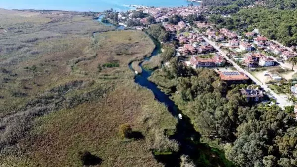 SUYU AZALAN DÜNYACA ÜNLÜ AZMAKTA CANLANMA VAR