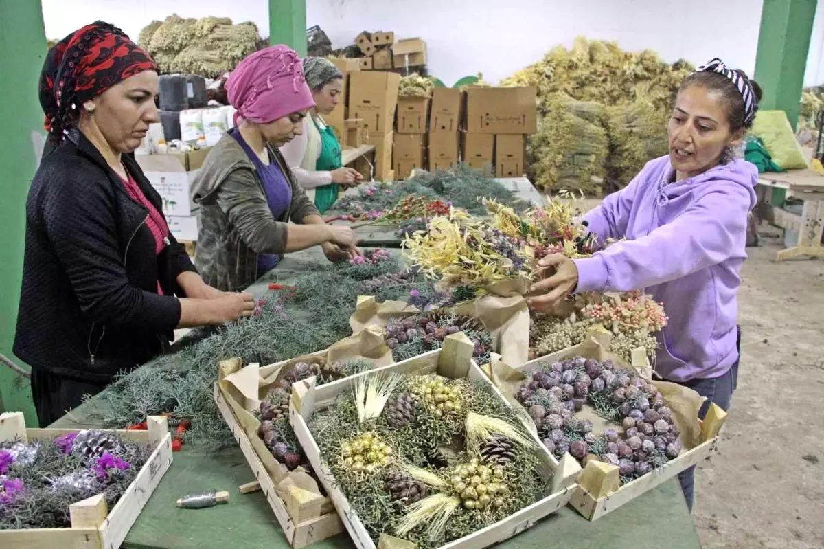 Avrupa\'nın yılbaşı çelenkleri Antalyalı kadınların ellerinden çıkıyor