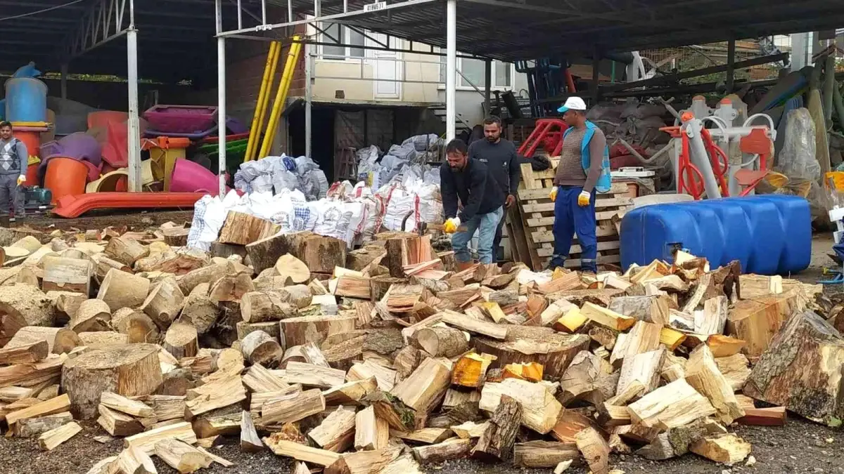 Budanan ağaçlar ihtiyaç sahiplerine yakacak oluyor