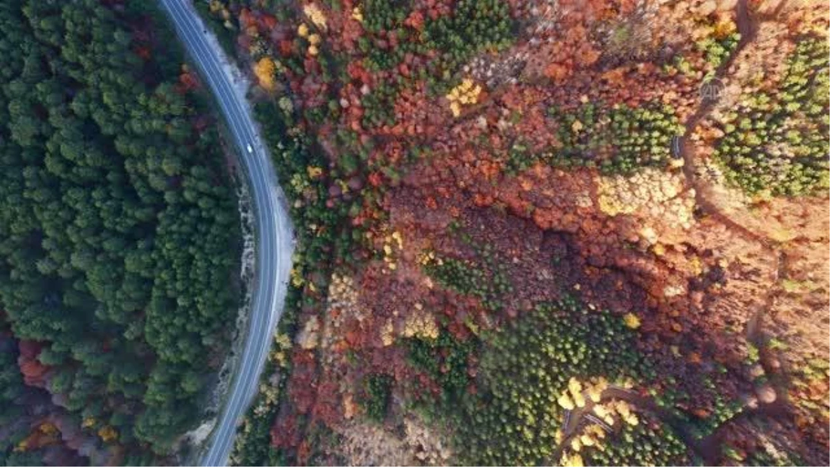 BALIKESİR - Domaniç Dağları ve Kazdağları\'nda rengarenk sonbahar