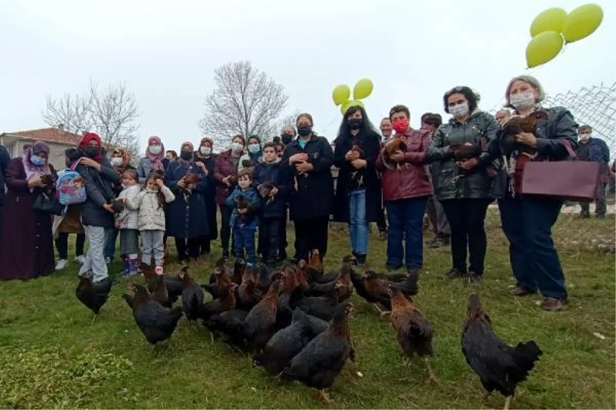 Edirne\'de 350 kadın girişimciye, 36 bin 750 gezen tavuk dağıtıldı