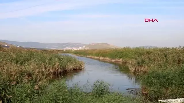 GEMA VAKFI ÜYELERİ GEDİZ HAVZASI'NI TARAYIP NEHİRDEKİ KİRLİLİĞİ FOTOĞRAFLADI