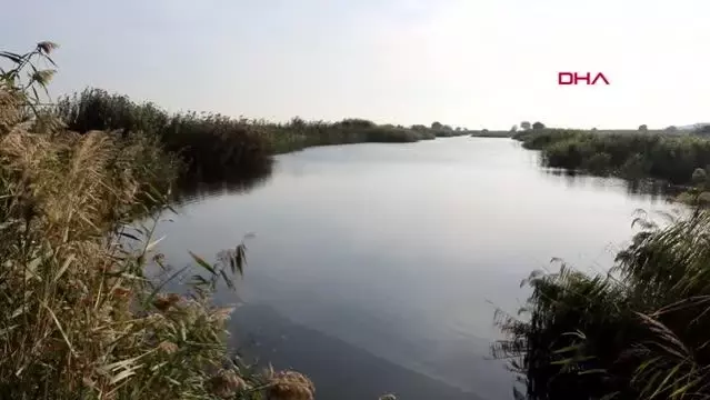 GEMA VAKFI ÜYELERİ GEDİZ HAVZASI'NI TARAYIP NEHİRDEKİ KİRLİLİĞİ FOTOĞRAFLADI