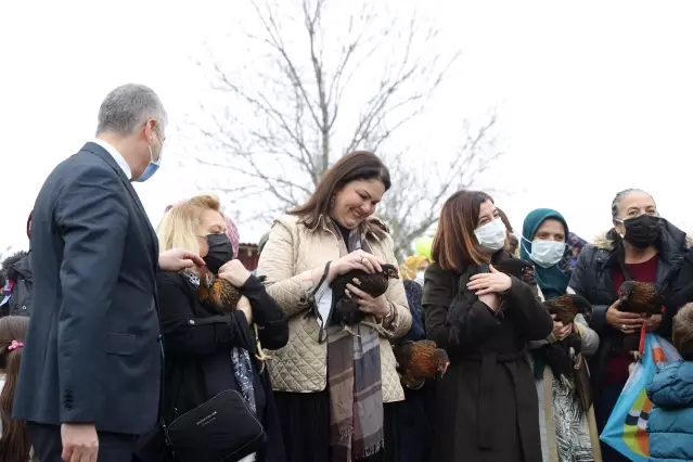  Kadın Eliyle Gezen Tavuk Yumurta Projesi kapsamında tavuk dağıtımına başlandı