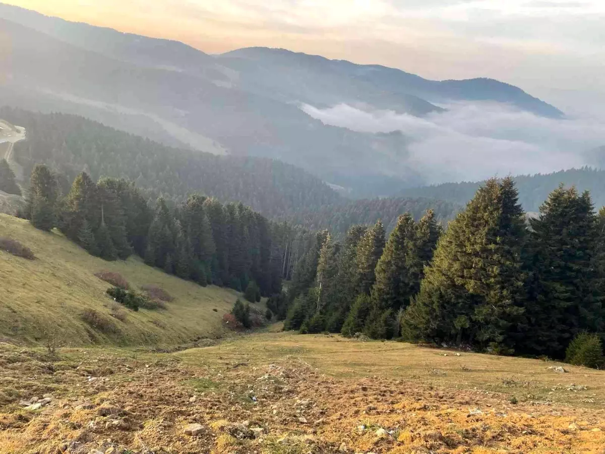 Kümbet Yaylası cezbediyor