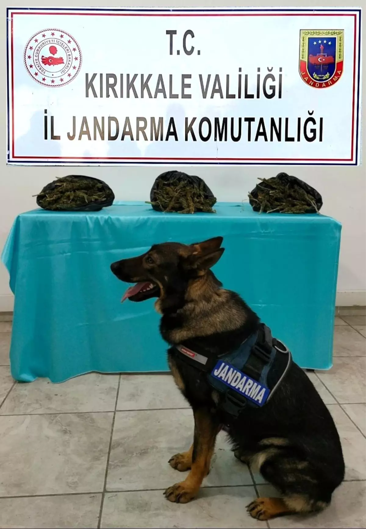 Narkotik köpeği \'Tepe\' ile otobüste arama yapan jandarma, \'kubar esrar\' buldu