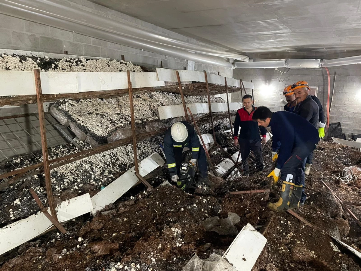 Mantar üretim tesisinde devrilen rafların altında kalan 5 işçi yaralandı