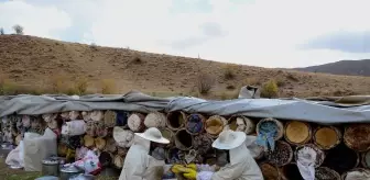 Bitlis'in yaylarından sofraları tatlandıran lezzet: Karakovan balı