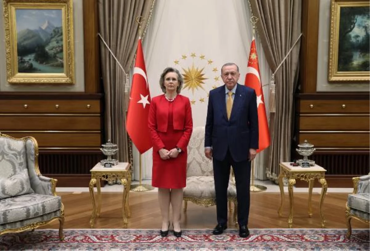 Cumhurbaşkanı Erdoğan AGİTPA Başkanı Cederfeld\'i kabul etti