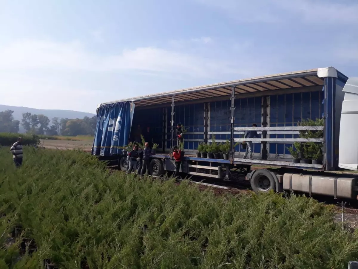 Eskişehir ve Afyonkarahisar\'da "Milli Ağaçlandırma Seferberliği" kapsamında 125 bin fidan dikilecek