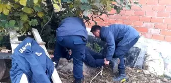 Kuyuya düşen köpeği jandarma kurtardı